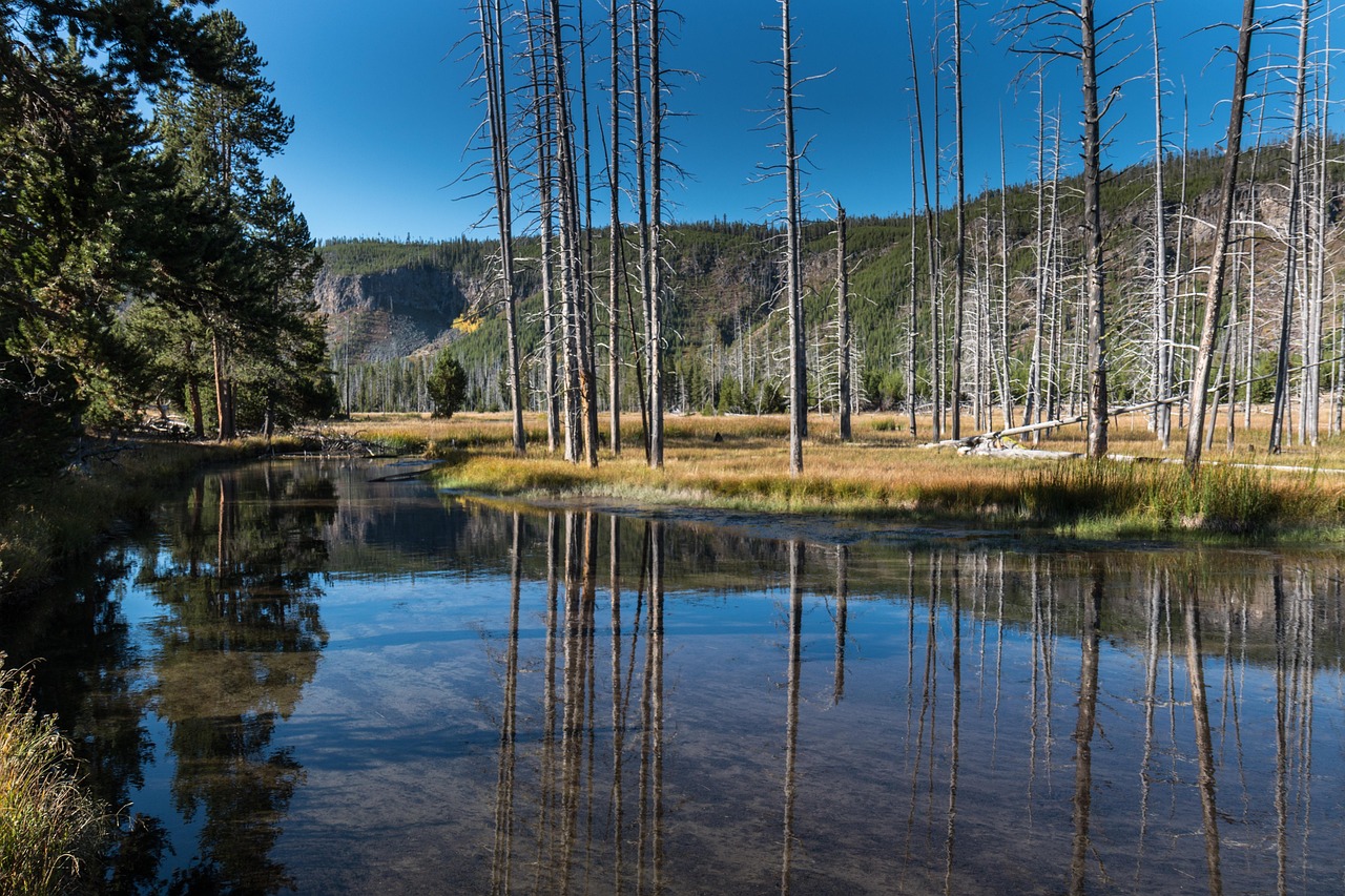 Amerika Fly drive rondreis Northern Rockies 9