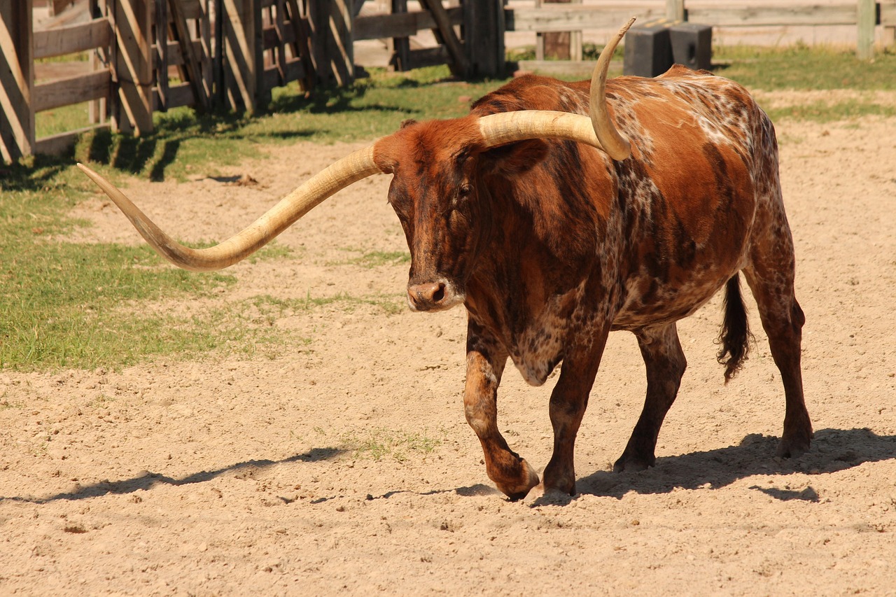 Amerika Fly drive rondreis Texas Western vibes en film locaties 5